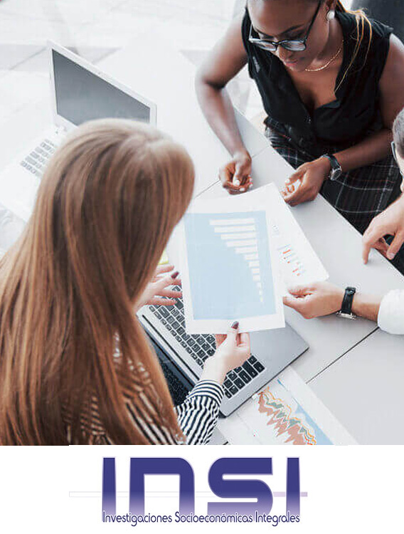 Investigaciones Socioeconómicas Integrales (INSI)